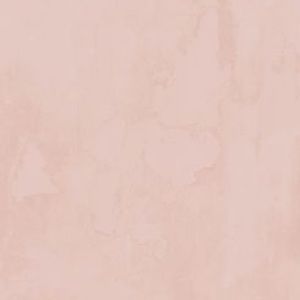 Meet your Posher, Anais